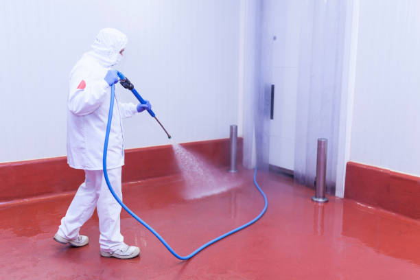 Best Factory Floor Cleaning  in Buckhead Ridge, FL