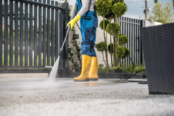 Best Animal Enclosure Cleaning  in Buckhead Ridge, FL