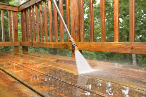 Best Building Exterior Washing  in Buckhead Ridge, FL
